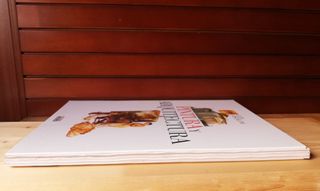 Guía visual de pintura y arquitectura El País.