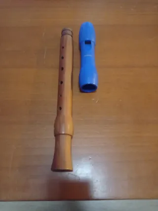 Flauta Hohner con funda