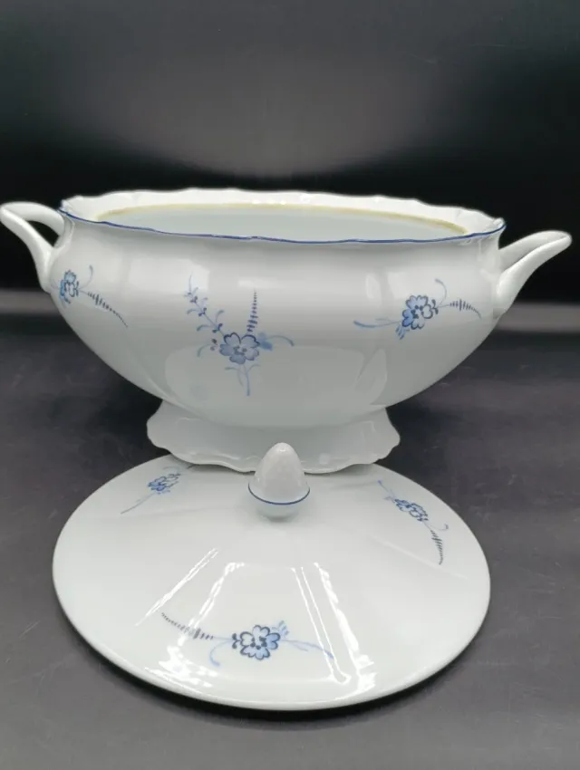 Sopera porcelana Limoges de Sologne