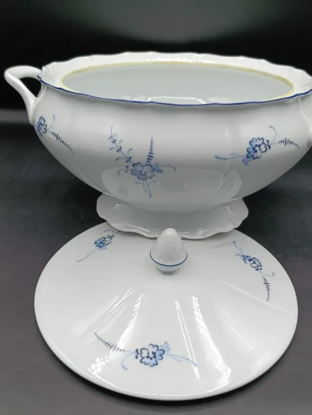 Sopera porcelana Limoges de Sologne