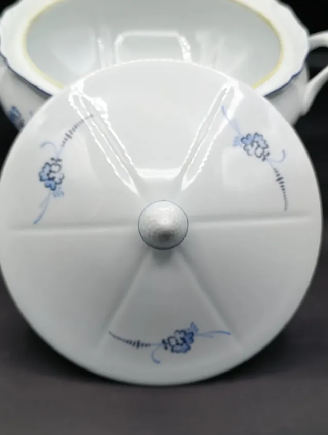 Sopera porcelana Limoges de Sologne