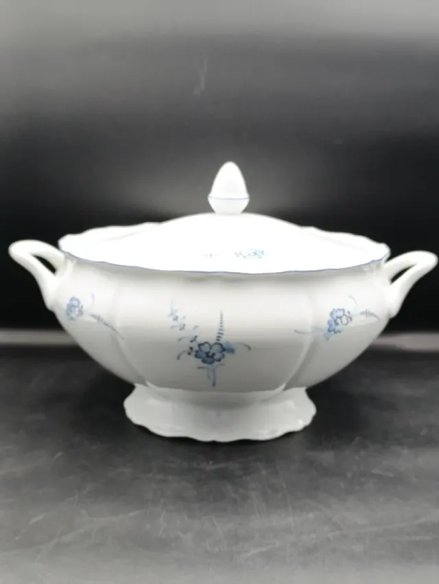 Sopera porcelana Limoges de Sologne