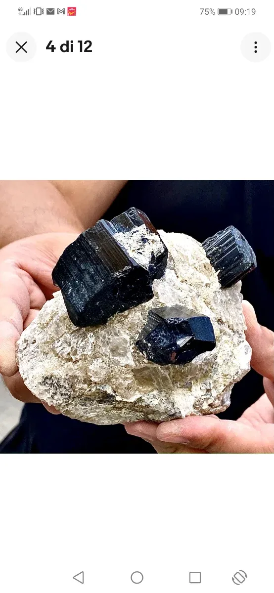 Splendide tormaline su quarzite