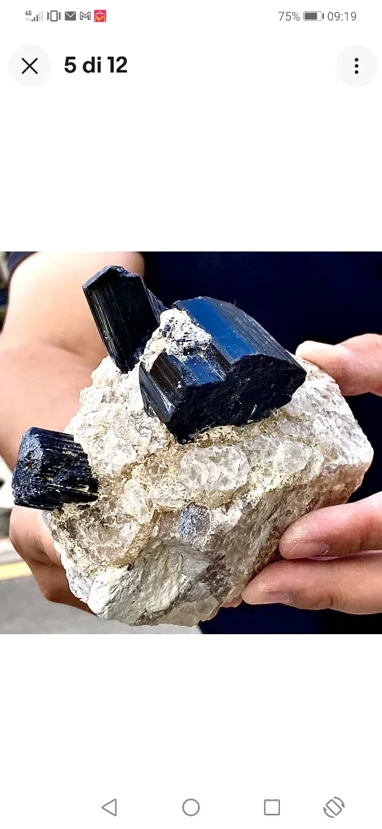 Splendide tormaline su quarzite