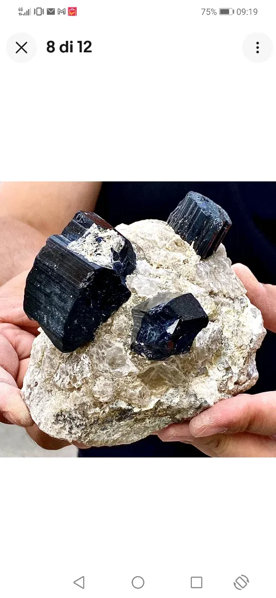 Splendide tormaline su quarzite