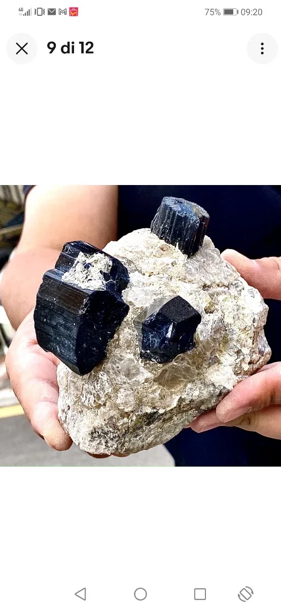 Splendide tormaline su quarzite