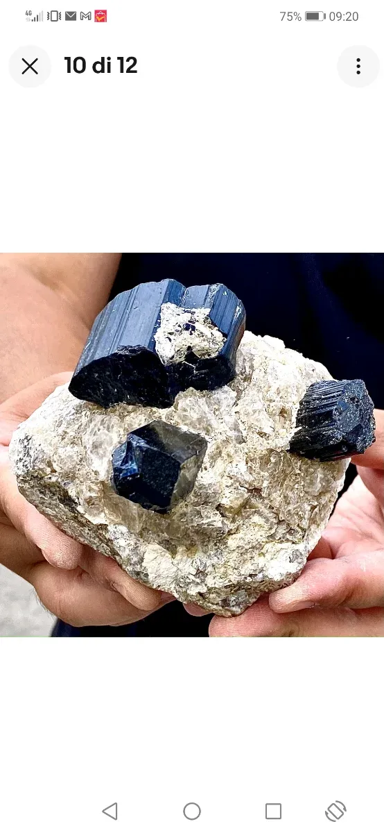 Splendide tormaline su quarzite