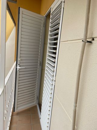 Mallorquina grande blanca