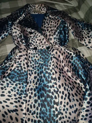 Gabardina 55€ y el vestidos lo regalo