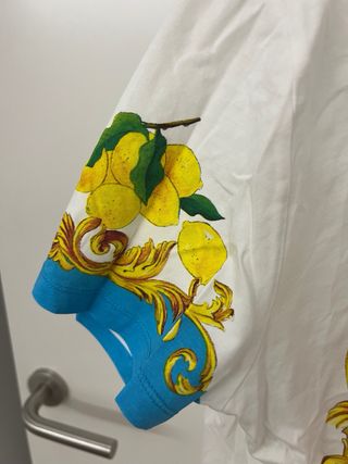 Camiseta Zara Estampada Frutas Barroco Talla L