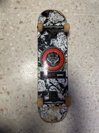 Lote Protecciones Skate y Tabla