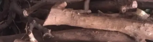 Leña variada para torras/ paellas