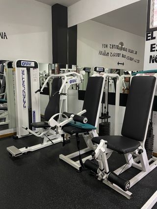 Lote máquinas gimnasio Teíju