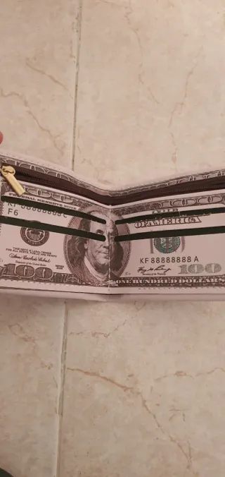 Billetera Hombre Diseño 100 Dólares