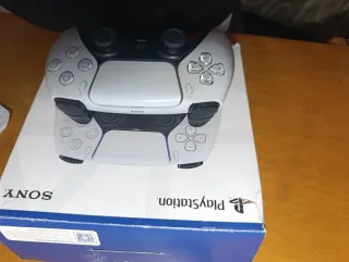 Mando PS5 DualSense Negro y Blanco