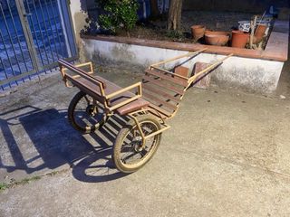 Carro biplaza para ponie