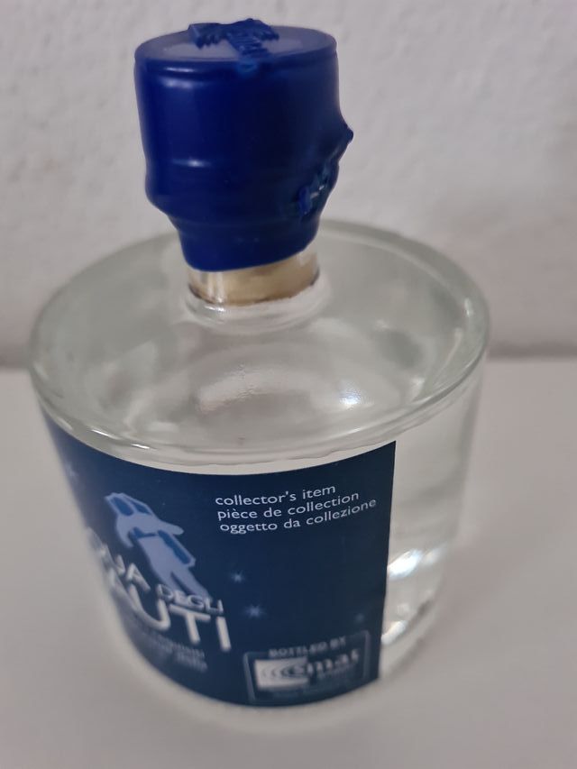 Acqua Astronauti Smat ESA Jules Verne 2008