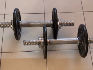 Manubri con pesi