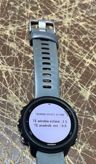Garmin Forerunner 245