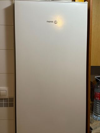 SOLO HASTA MAÑANA Nevera Fagor Blanca