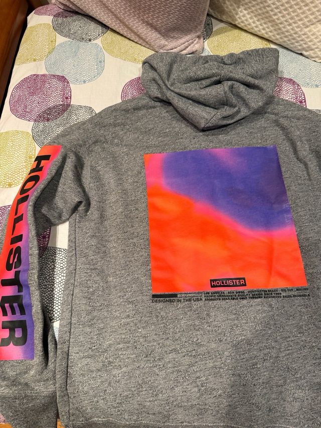 Sudadera Hollister Gris con Logo