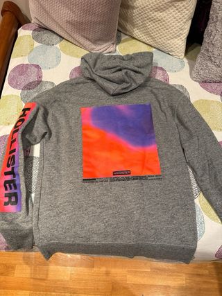 Sudadera Hollister Gris con Logo