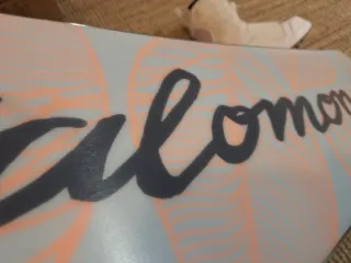 Tabla Snowboard y Botas Salomon