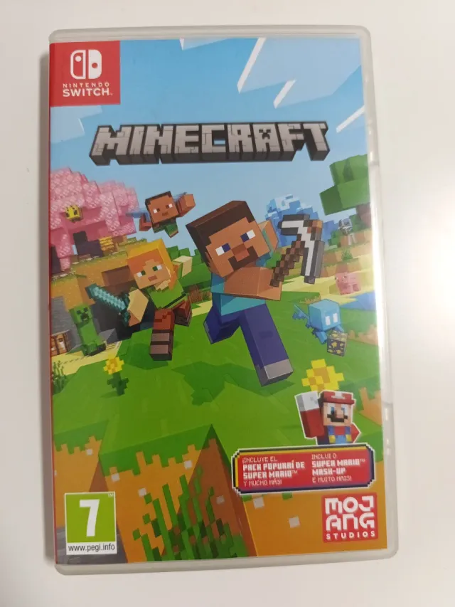Minecraft Nintendo Switch