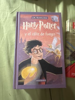 Harry Potter Y La Piedra Filosofal