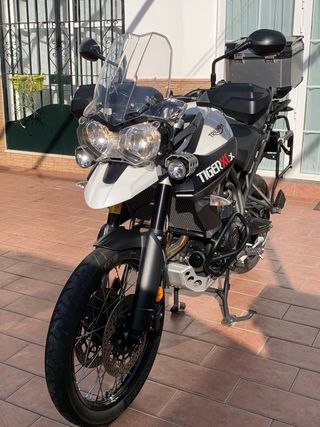 Triumph Tiger 800 XCX (extra adicional Aventure)