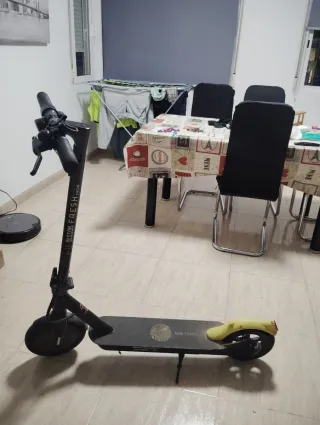 Patinete Eléctrico PASSION FRESH