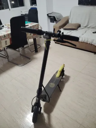 Patinete Eléctrico PASSION FRESH