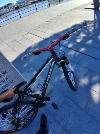 Bici Stunt / Wheelie Orbea