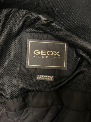 Giubbetto Geox nero con gilet interno