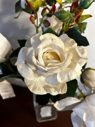 Rose artificiali bianche in vaso