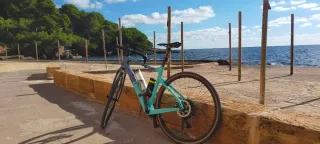 Bianchi Arcadex Gravel Bike