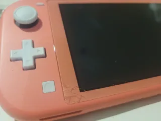 Nintendo Switch Lite Rosa