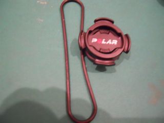 staffa Polar M460 originale