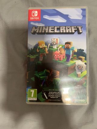 Minecraft Nintendo Switch