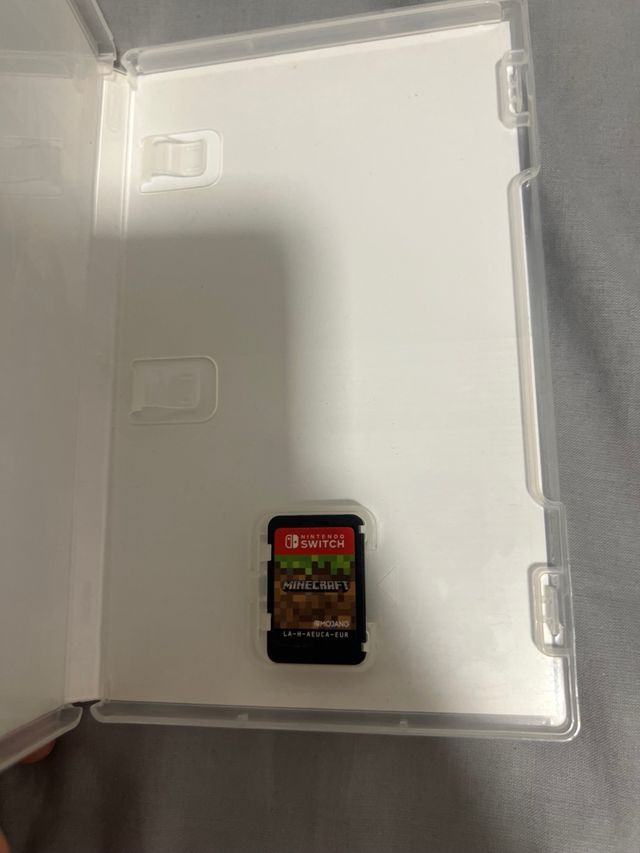 Minecraft Nintendo Switch