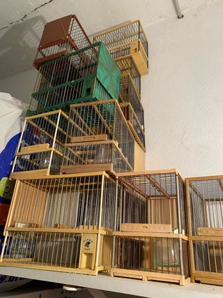 Pack de Jaulas para pájaros concurso / jilgueros