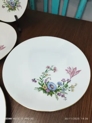 6 Platos Llanos Bavaria Vintage Florales