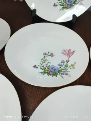 6 Platos Llanos Bavaria Vintage Florales