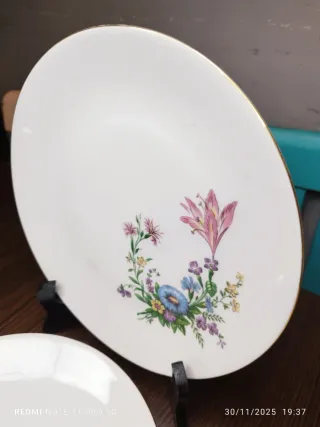 6 Platos Llanos Bavaria Vintage Florales