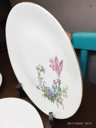 6 Platos Llanos Bavaria Vintage Florales