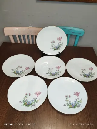 6 Platos Llanos Bavaria Vintage Florales