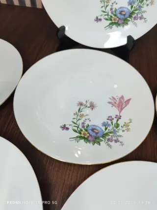 6 Platos Llanos Bavaria Vintage Florales