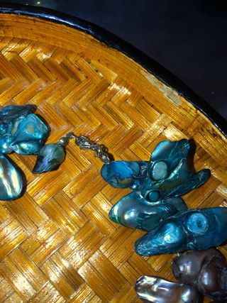 Colgante conchas de abulón