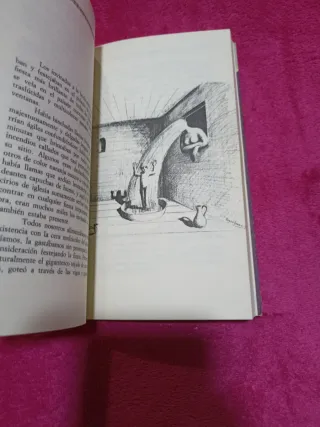 El espejo en el espejo.