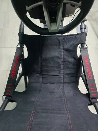 Playseat Silla + Volante Hori
